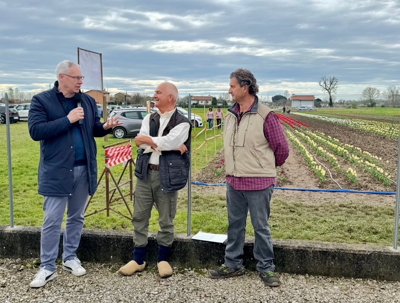 ROVEREDO VARMO. BORDIN INAUGURA GIARDINO TULIPANI: ESEMPIO DI PASSIONE